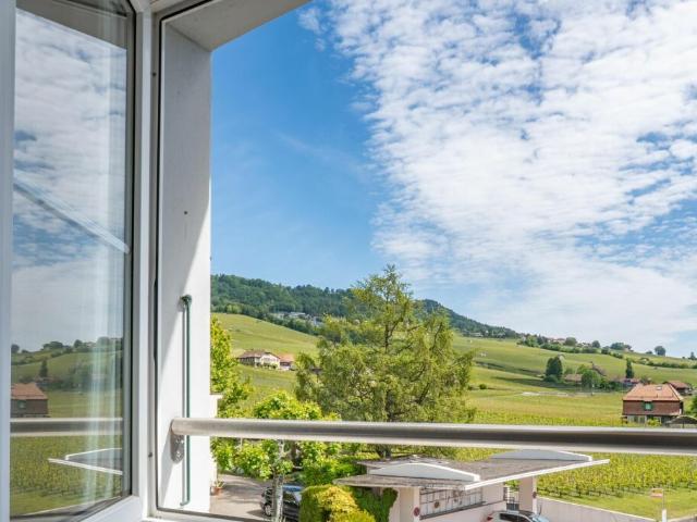 Appartement en attique avec vue lac et vignes