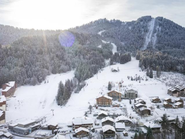 Appartement en duplex dans un chalet neuf au pied des pistes