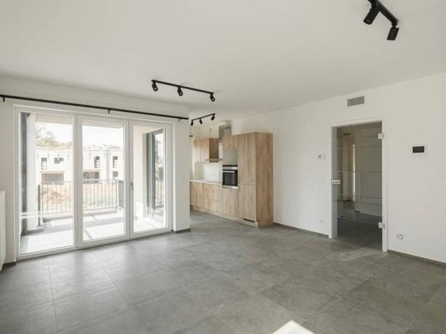 Appartement en Location à Habay