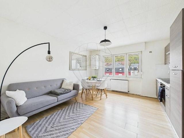 Appartement en Location à Knutange