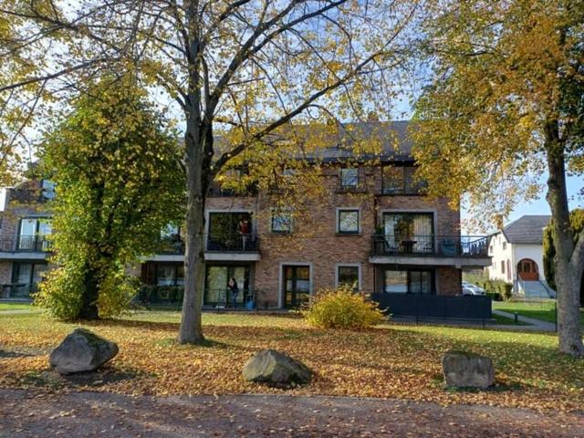 Appartement en Location à Vise