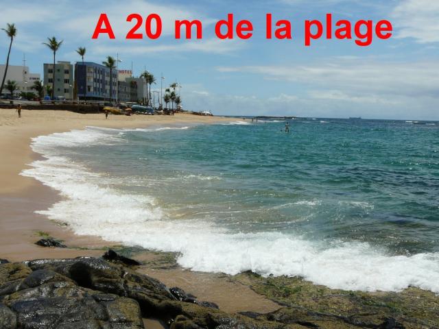 Appartement en rez de jardin 180m² Agonès
