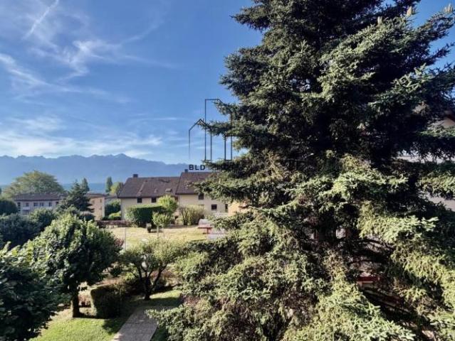 Appartement entièrement rénové