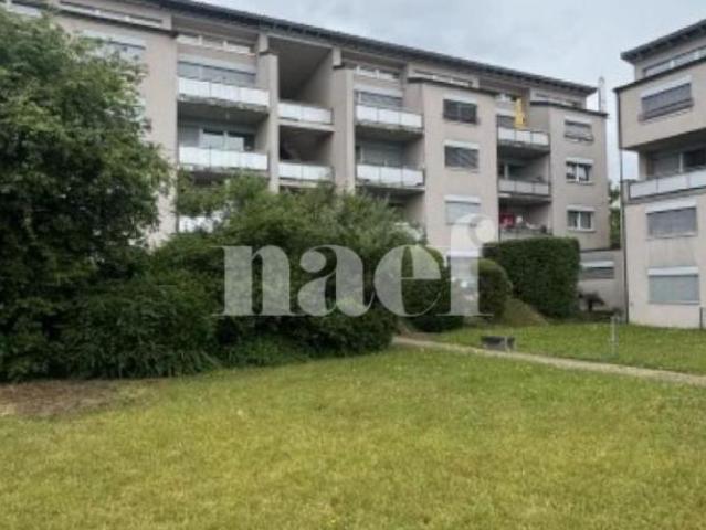 Appartement entièrement rénové
