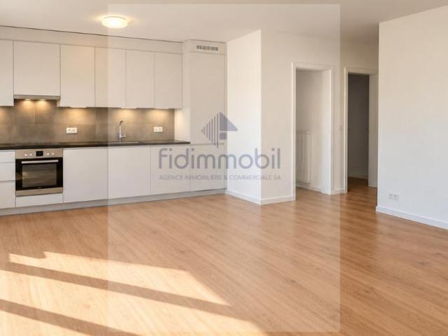 Appartement entièrement rénové avec balcon vue lac