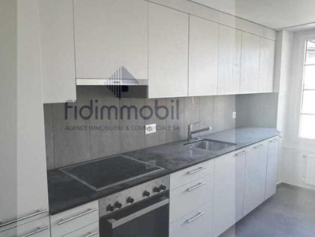 APPARTEMENT ENTIÈREMENT RÉNOVÉ DANS QUARTIER CALME