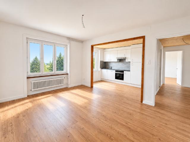 Appartement entièrement rénové de 2.5 pièces