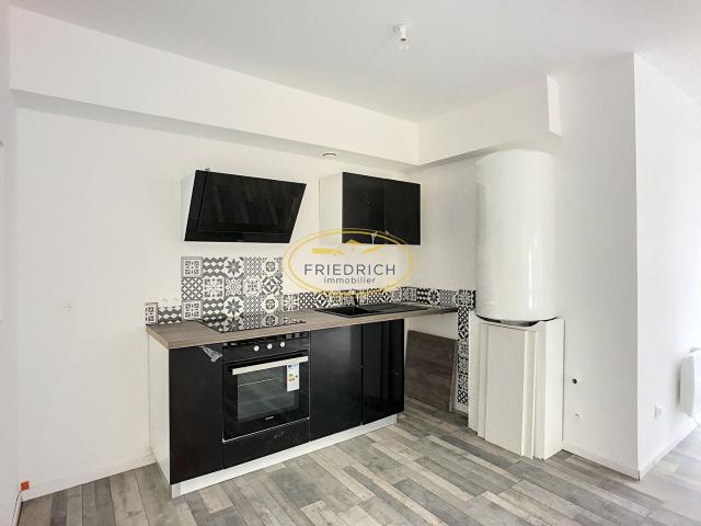 Appartement entièrement rénové Libre en décembre Centre