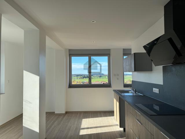 APPARTEMENT ETAT NEUF AVEC GARAGE