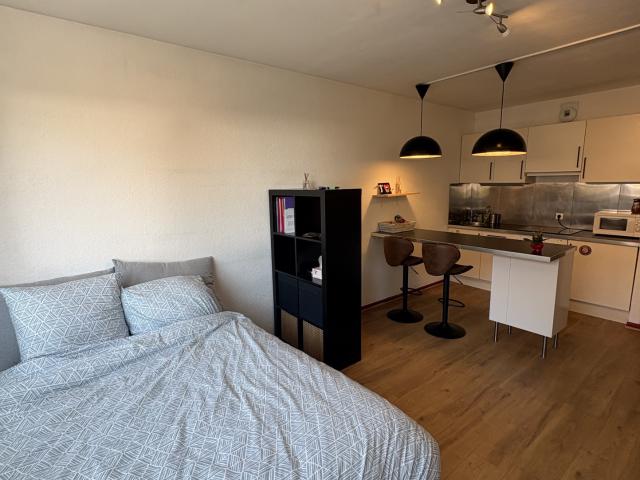 Appartement F1 30m2 rénové dans un immeuble rénové BBC Emplacement idéal