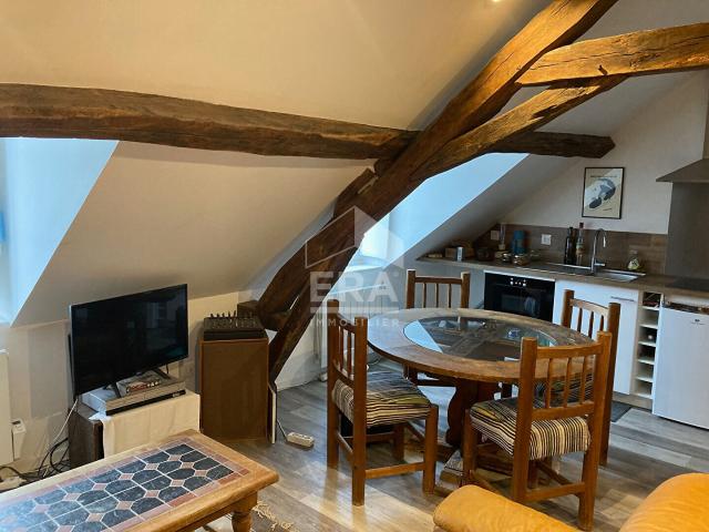 APPARTEMENT F1 / STUDIO MEUBLE A LOUER EN COURTE DUREE A BLOIS BELLES PRESTATIONS VUE SUR CHÂTEAU & LOIRE