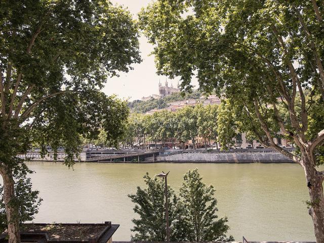 Appartement Familial / Activité professionnelle vue sur la Saône et Fourvière