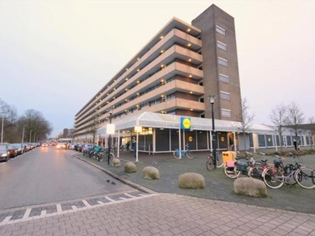 appartement for rent Utrecht Marco Pololaan