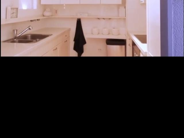 appartement for rent Utrecht Hysophof