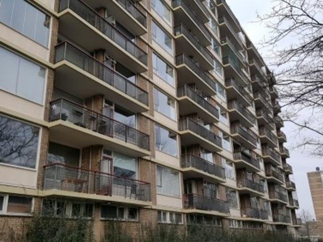 appartement for rent Utrecht Livingstonelaan