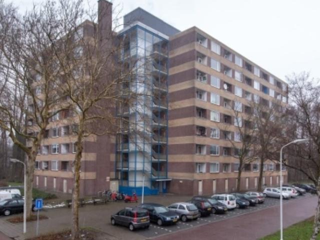 appartement for rent Zaandam Fluitekruidweg