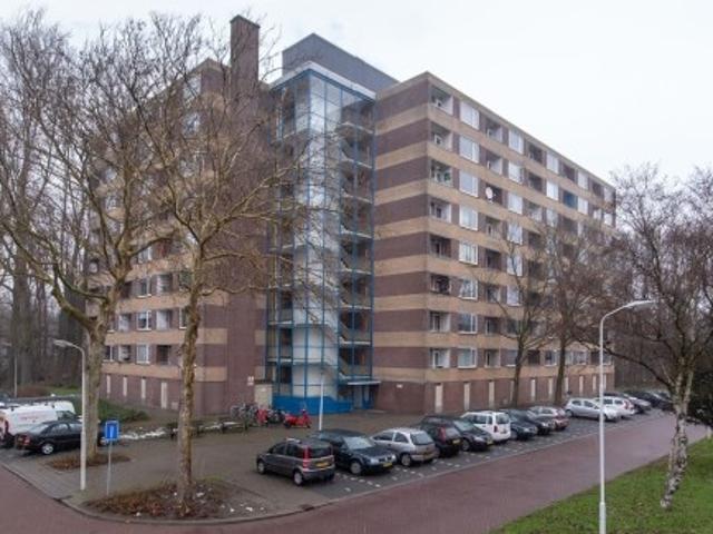 appartement for rent Zaandam Fluitekruidweg