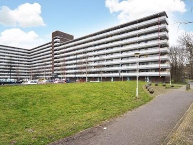 appartement for rent Zoetermeer Belvédèrebos
