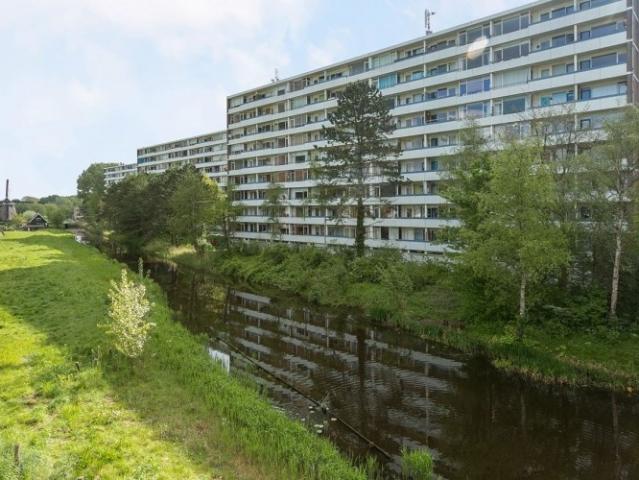 appartement for rent Alkmaar Honthorstlaan