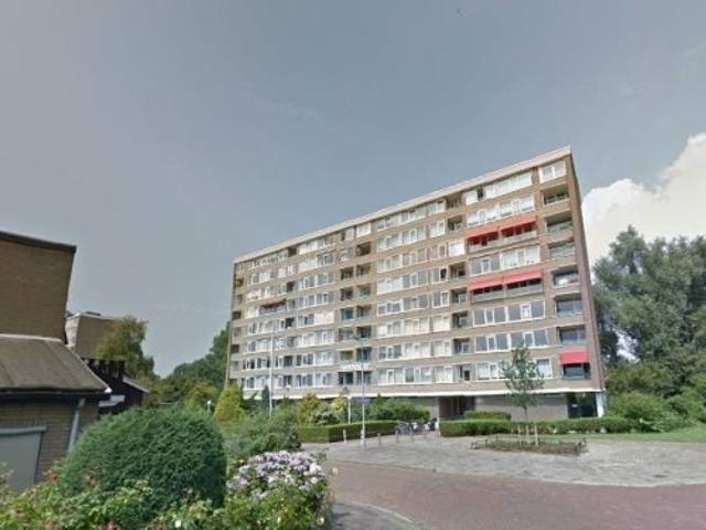 appartement for rent Alkmaar Jan van Goyenstraat