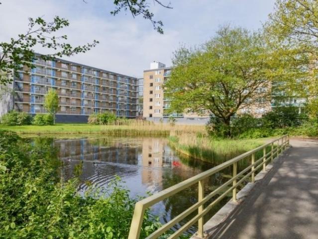 appartement for rent Alphen aan den Rijn Plutostraat