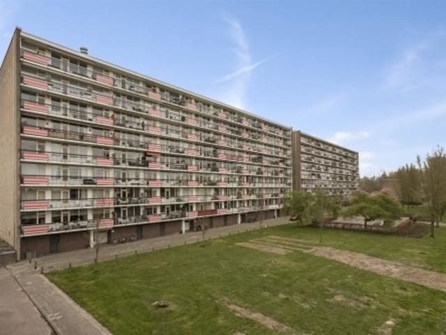 appartement for rent Amersfoort Trekvogelweg