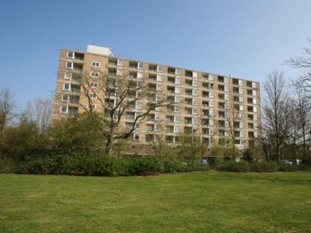 appartement for rent Amersfoort Trekvogelweg