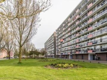 appartement for rent Amersfoort Trekvogelweg