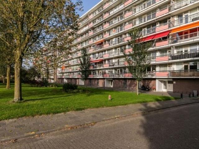 appartement for rent Amersfoort Trekvogelweg