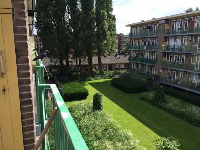 appartement for rent Amsterdam oud West