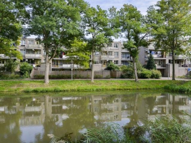 appartement for rent Amsterdam Wamelplein
