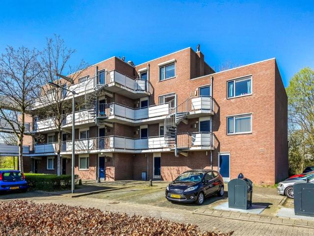 appartement for rent Arnhem Terneuzenstraat