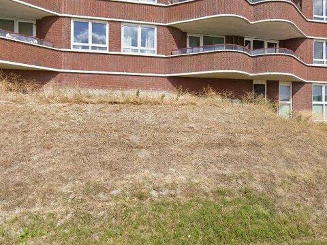 appartement for rent Bergschenhoek Abe Bonnemastraat