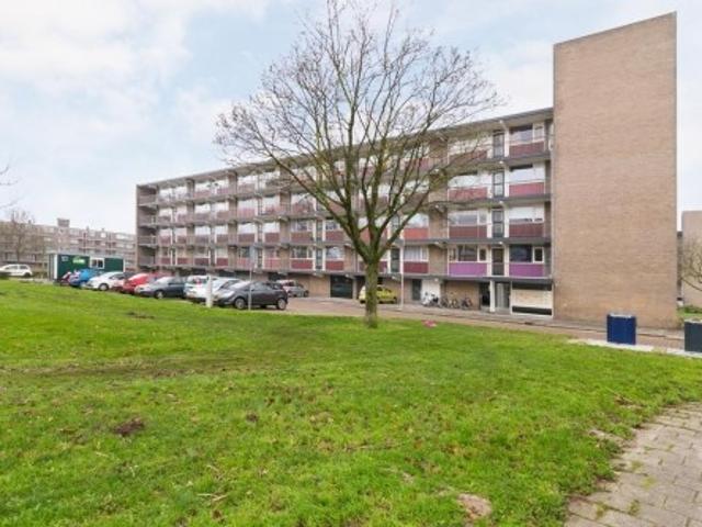 appartement for rent Den Bosch Johan van de Veldestraat