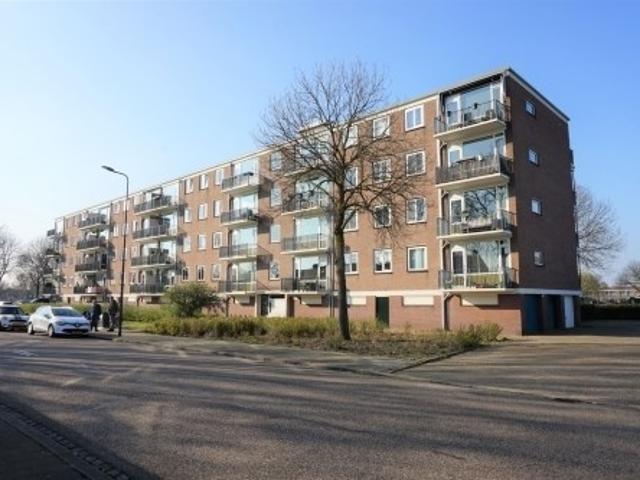 appartement for rent Den Bosch Maassingel