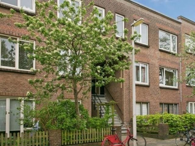 appartement for rent Den Haag Anjelierstraat