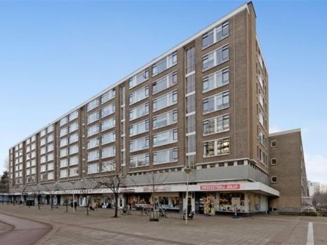appartement for rent Den Haag Beresteinlaan