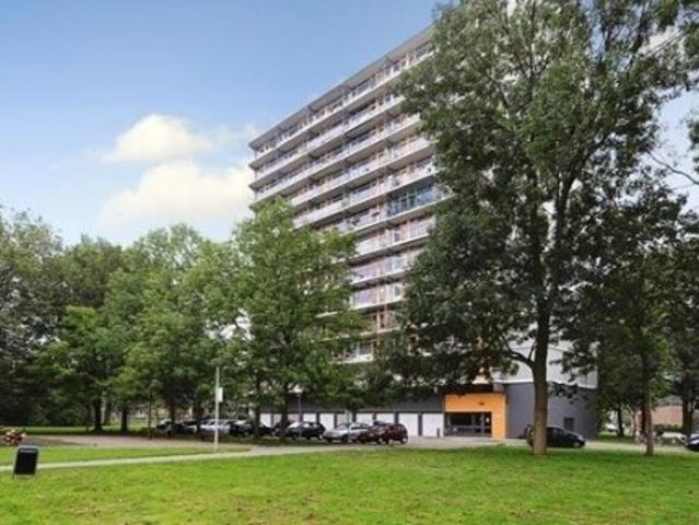 appartement for rent Den Haag Elviraland