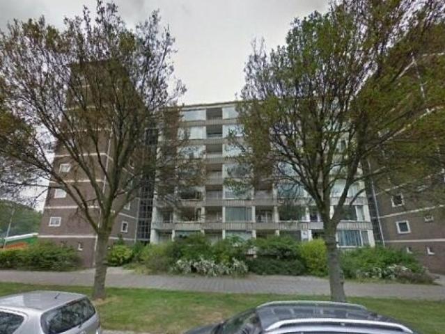 appartement for rent Den Haag Hart Nibbrigkade