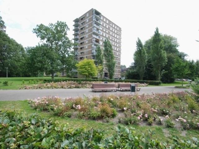 appartement for rent Den Haag Hendrinaland