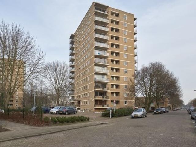 appartement for rent Den Haag Hongarenburg