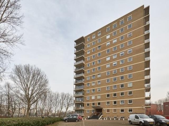 appartement for rent Den Haag Hongarenburg