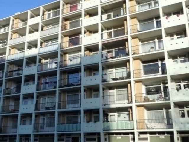 appartement for rent Den Haag Louis Davidsstraat