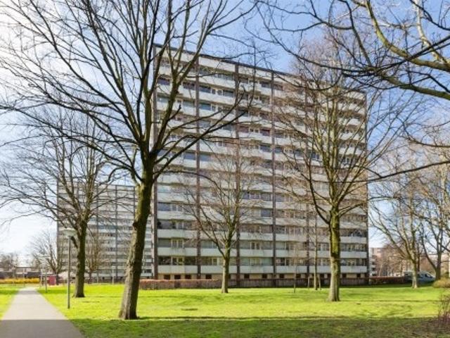 appartement for rent Den Haag Roggekamp