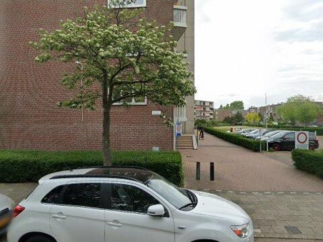 appartement for rent Den Haag Stokroosstraat