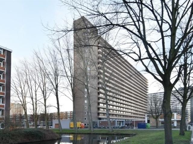 appartement for rent Delft Hendrik Tollensstraat