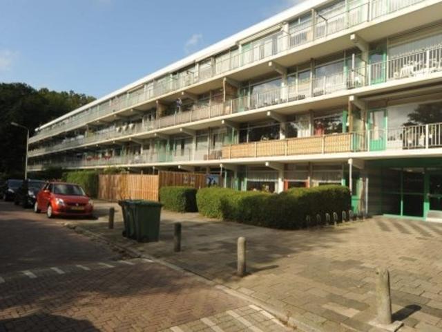 appartement for rent Delft Pijperring