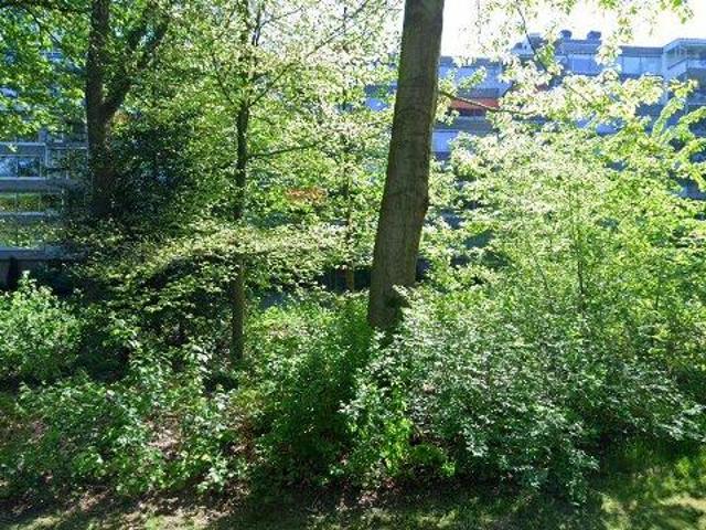 appartement for rent Doorwerth Beethovenlaan