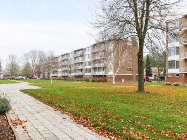 appartement for rent Dordrecht Henri Polakstraat