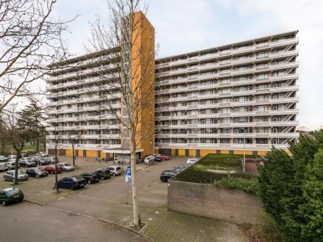 appartement for rent Eindhoven De Koppele